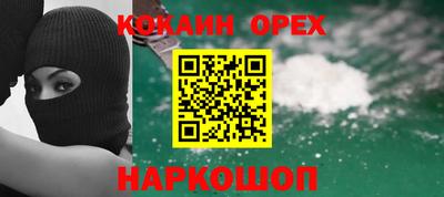 амф Кингисепп