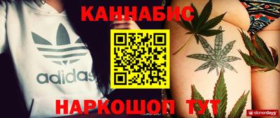 амф Кингисепп