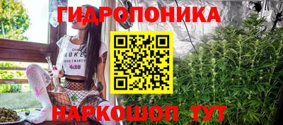 амф Кингисепп