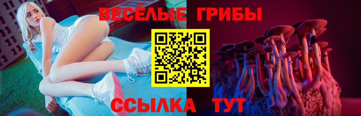 Псилоцибиновые грибы ЛСД  Галлюциногенные грибы Psilocybe  Вход с VPN  Краснокаменск 